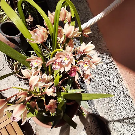 Dal Moro 44 בית נופש