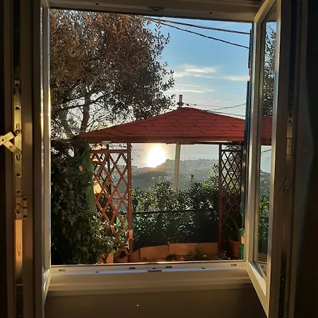 Dal Moro 44