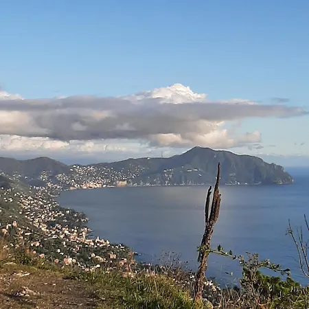 Dal Moro 44 *