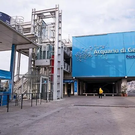 Dal Moro 44